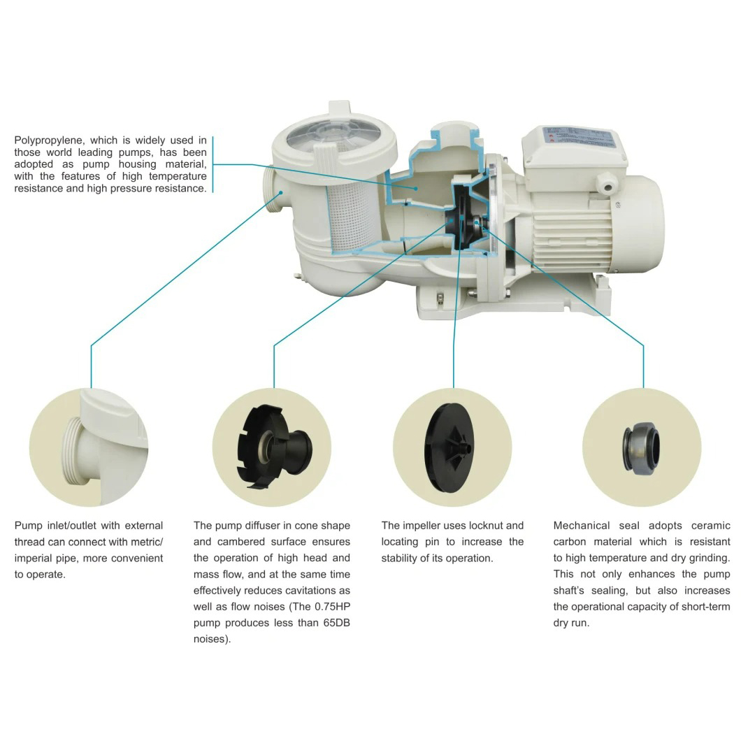 상업용 2HP 3HP 220V 맞춤형 로고 수영장 펌프 - Pool Pump 2Hp Variable Speed 리뷰 및 가격
