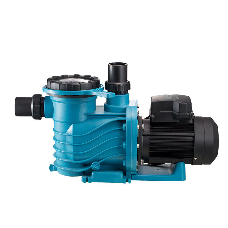수영장 펌프 제조업체 1마력 1.5마력 2마력 수영장  - Pool Pump 2Hp Variable Speed 리뷰 및 가격